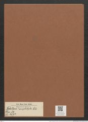 Tabellaria ? amphilepta Ehr. (de-Toni-Nr.: Genus 89, Species 2992) Zeichnungen Sammlung Grunow Mappe 03190 (Herbarium_W_Grunow_drawings_Folder_03190)